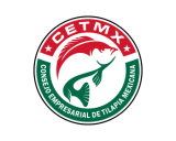 /public/logoimage/1487948524CETMX 11.png